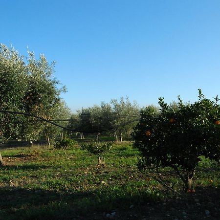 Agriturismo - B&B "La Funicolare" Francavilla Marittima Екстериор снимка