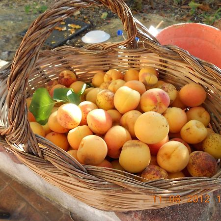 Agriturismo - B&B "La Funicolare" Francavilla Marittima Екстериор снимка