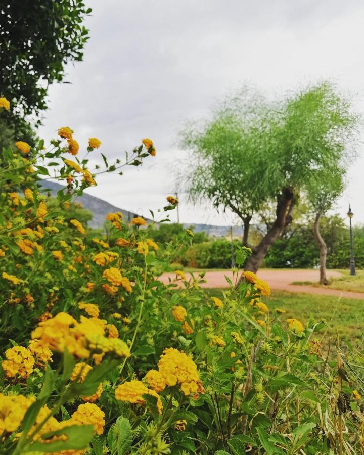 Agriturismo - B&B "La Funicolare" Francavilla Marittima Екстериор снимка