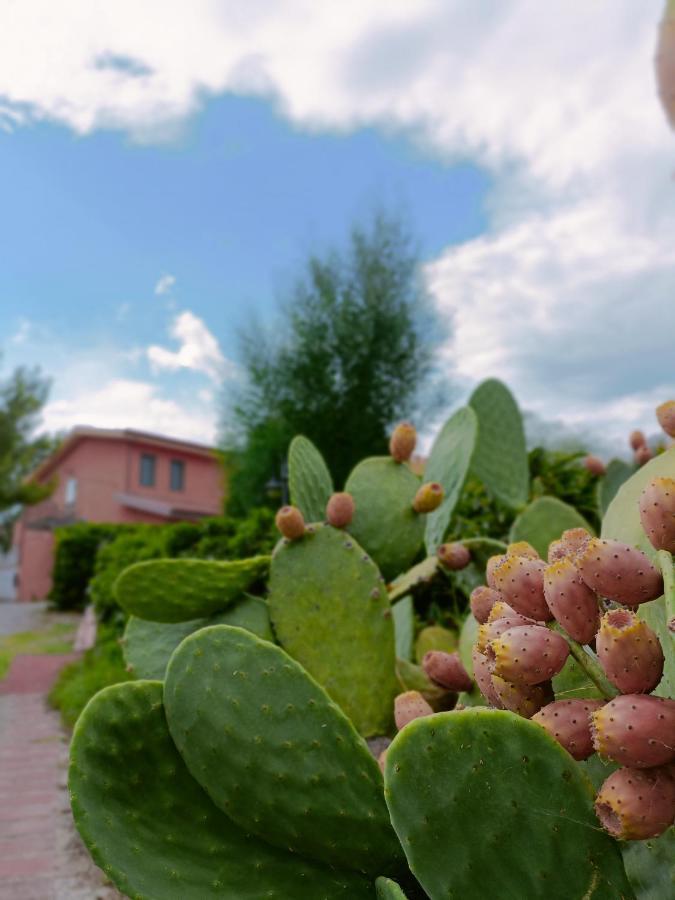 Agriturismo - B&B "La Funicolare" Francavilla Marittima Екстериор снимка