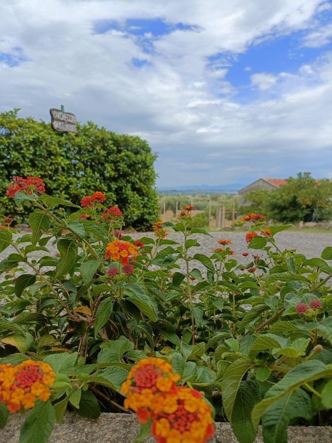 Agriturismo - B&B "La Funicolare" Francavilla Marittima Екстериор снимка