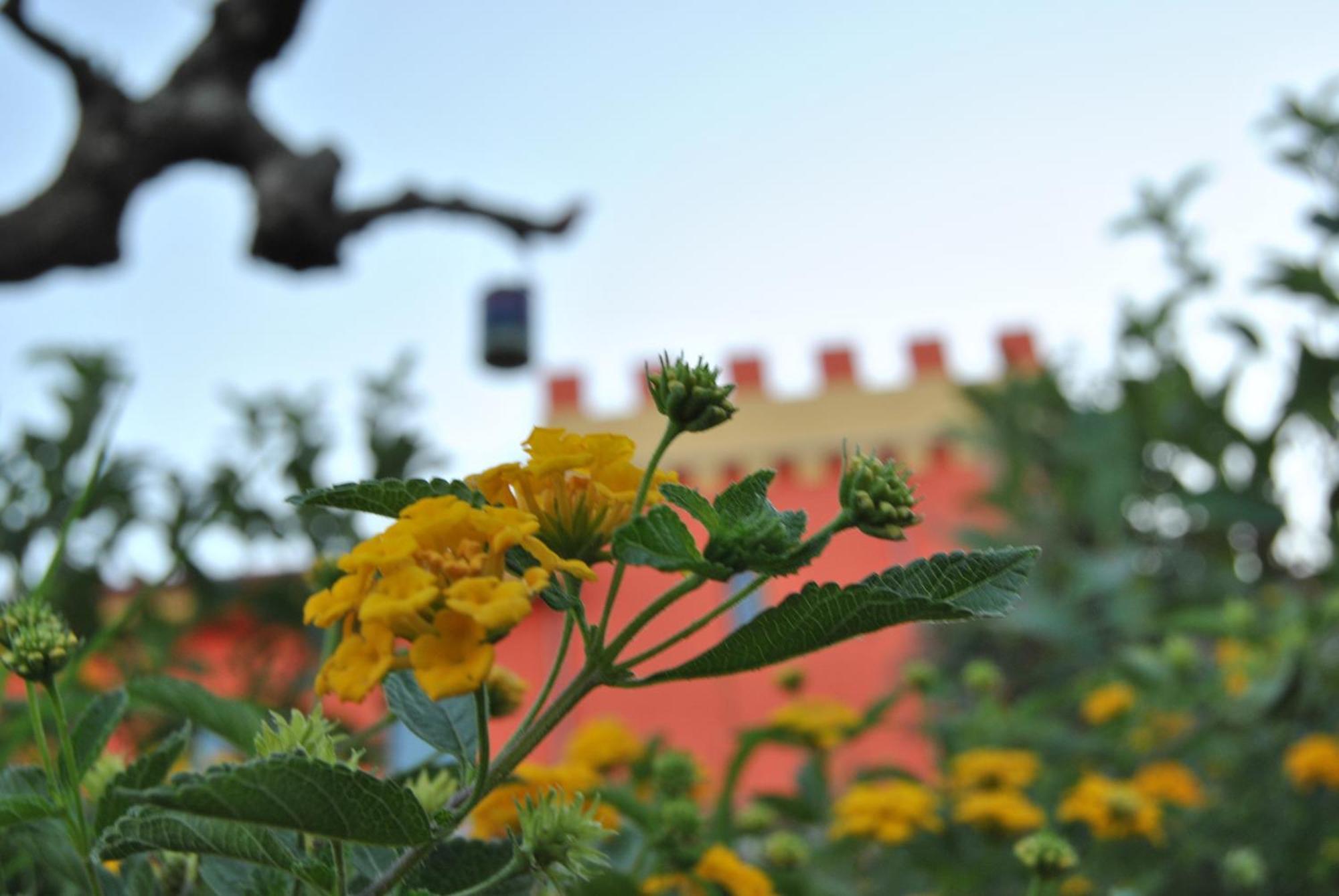 Agriturismo - B&B "La Funicolare" Francavilla Marittima Екстериор снимка